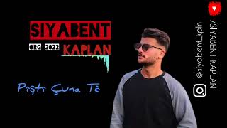 Pıştî Çuna Tê • Siyabent Kaplan•2022 Org Resimi