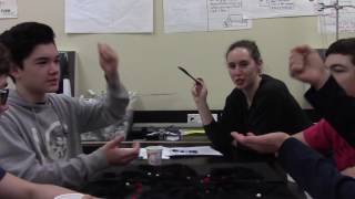 Pom Pom Natural Selection Activity - A Lesson for Teachers