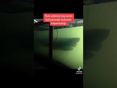 Terk Edilmiş Yerlerde