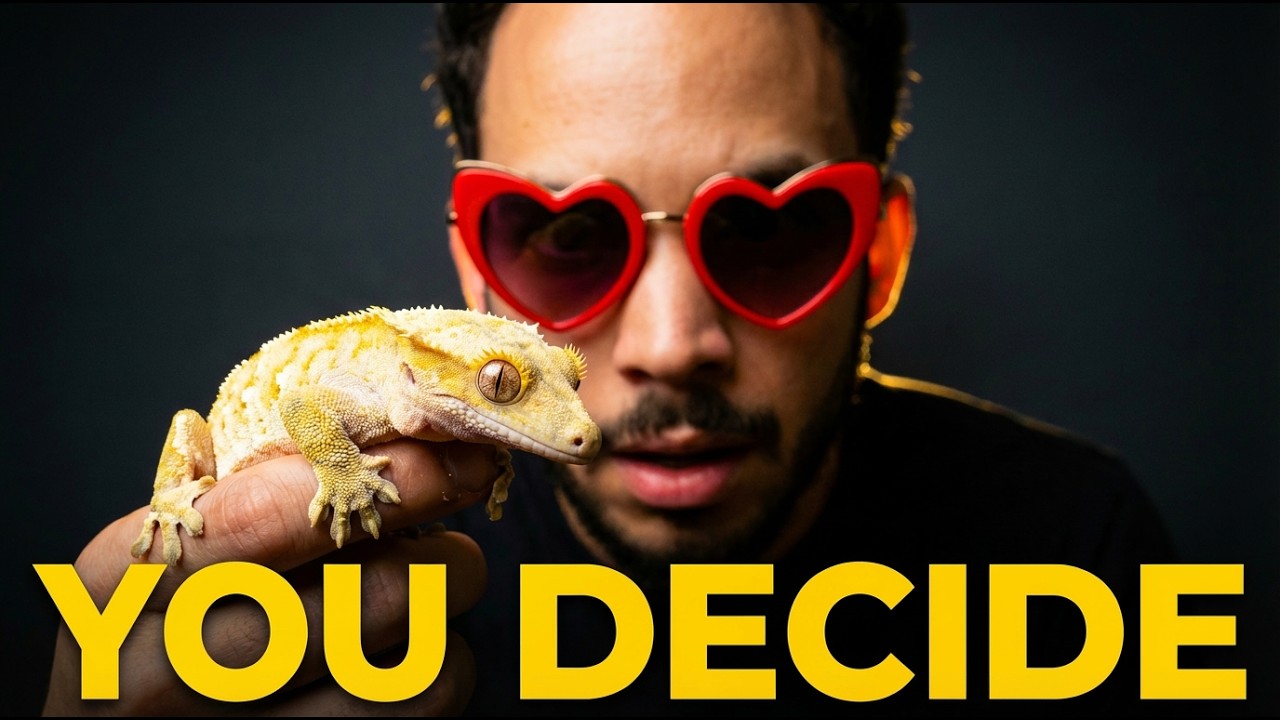 Вы сами решите, какой будет мой следующий проект по разведению гребенчатых гекконов!