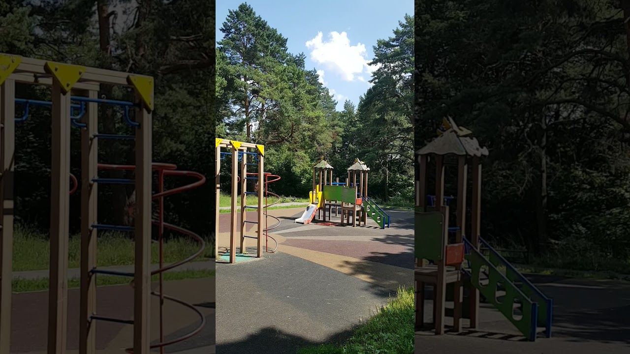 250729 Старинные сосны и детская площадка в парке Ботаника Заводской район деревья город Орёл