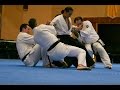 Aikido Yoshinkan Brisbane Dojo 20th Demo 2015 Mori Shihan 7th Dan 「塩田剛三(渋川剛気)直伝の実戦即応技と合気」森道治 師範