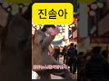 진솔아 힘내라 #대통령 #뉴스 #이재명#양산시