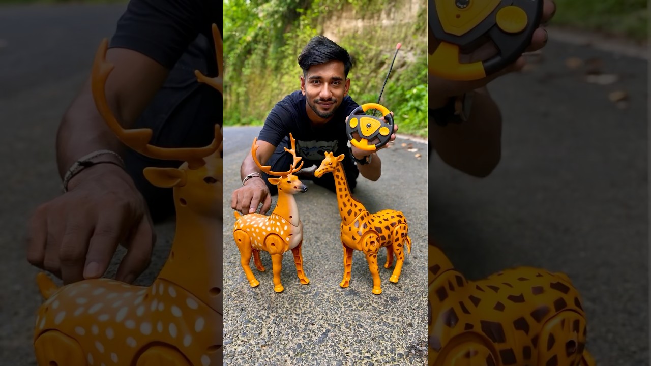 RC 2 ta animal toy Deer 🦌 and Giraffe 🦒 | animal shorts video