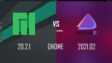 Manjaro 20.2.1 GNOME vs Endeavour OS 2021.02 GNOME!