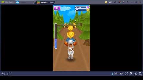 DOG RUN 04.05.19 P3 Who can run faster than your cutie dog?