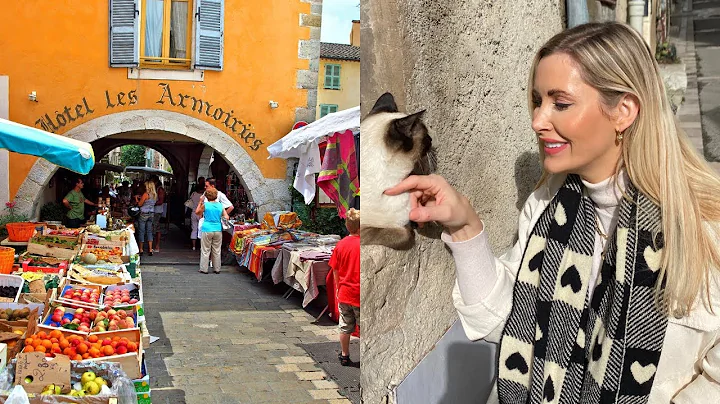 FRENCH MARKET | VALBONNE SOUTH OF FRANCE | VLOG!