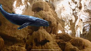 Cave Whale