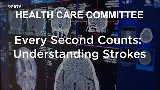 Committees at Work -   Every Second Counts: Understanding Strokes