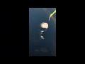 Fishing part 1