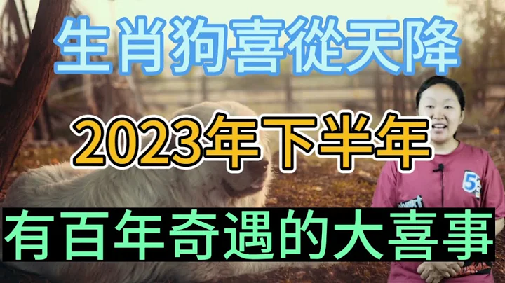 生肖狗喜从天上来！2023年下半年！有百年难遇的大喜事！家里有属狗人千万别错过接大喜！ - 天天要闻