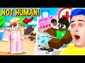 *WHAT HAPPENED* To These Adopt Me Players *PART 2* !! MORE Roblox Adopt Me Secrets EXPOSED..