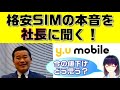 【格安SIMにインタビュー】y.u mobile社長に本音をいろいろ聞いてみました！