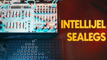 Another @intellijel  Masterpiece : Sealegs  [ Eurorack Delay ]