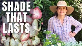 Shade Containers That LAST All Summer (Heat & Humidity Approved!) screenshot 5