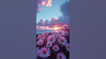 ارح سمعك بتلاوه عذبه للقارئ احمد النفيس 🎧❤️‍🩹 #اكسبلور #طمئن_قلبك #راحة_نفسية #أرح_سمعك_وقلبك