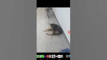 my youtube chaneL 🤩🤩🤩👇👍👍👍👍👍👍👍👍👍👍👍👍👍👍👍👍👍👍