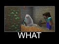 Maxsad the Cat in Minecraft wait what meme part 214