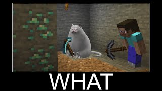 Maxsad the Cat in Minecraft wait what meme part 214