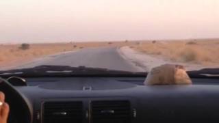 way to nktt 2
