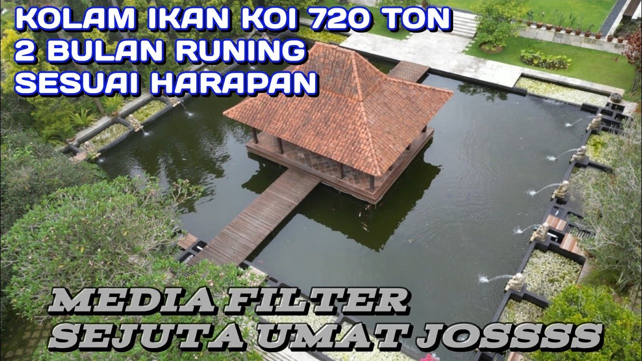 KOLAM IKAN KOI 720 TON DALAM 2 BULAN RUNING BELUM CUCI FILTER | AIRNYA JERNIH | VILA CIPANAS CIANJUR