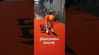 KB Bent-Over Reverse Fly #kettlebell #workout #fitness #gym #christianhiphop #stayfit #explorepage