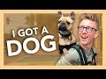 Becoming a Dog Dad for a Day