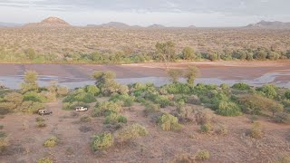 Kprc & Houston Zoo Saving Wildlife Special