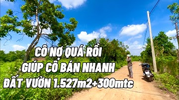 ( Đã Bán) Cô Bảy nợ lắm rồi buộc phải giảm giá mạnh mong muốn bán nhanh đất vườn có sẵn 300 thổ cư