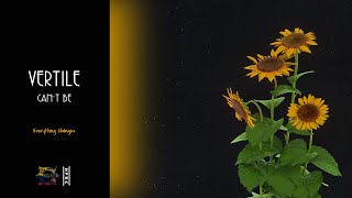 Vertile - Can't Be (Lyric Eng/Esp)