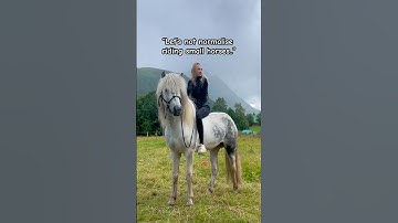 “Let’s not normalise riding small horses..” #horse #icelandichorse #horseriding #horses #equestrian
