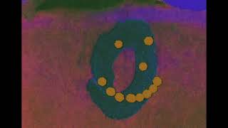 Sml - Brood Board Shroom Video By Nespy5Euro