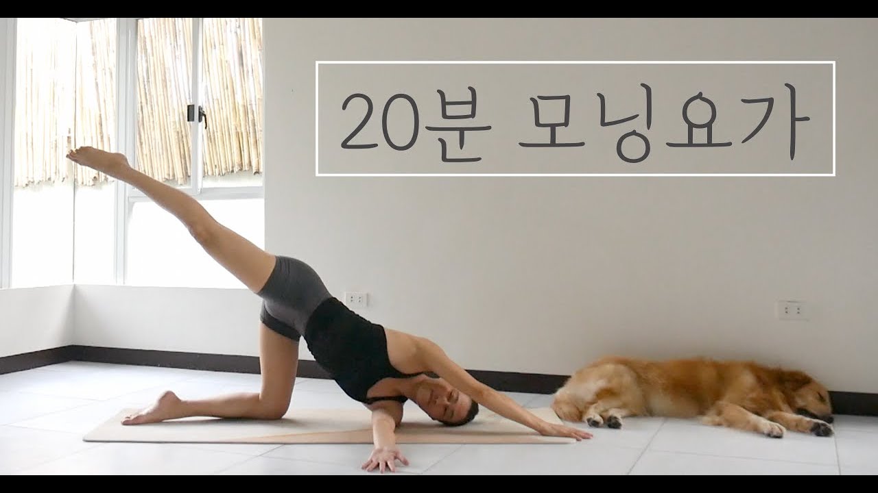 [EVA YOGA]20분 아침을 깨우는 모닝요가