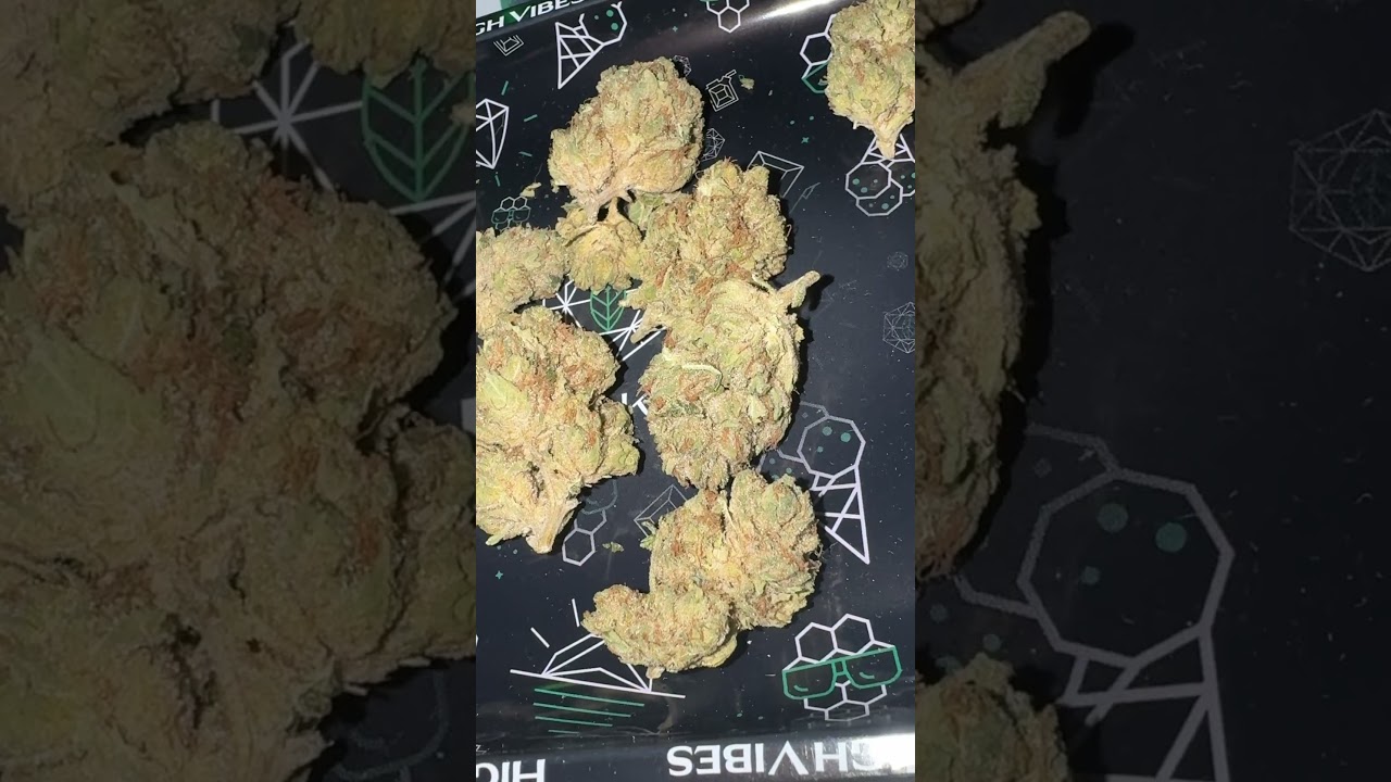 Pure Sunfarms - Pink Kush Quick Look | Latest Batch 2024 