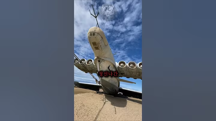 소련의 바다 괴물이라 불리던 정신나간 크기의 위그선