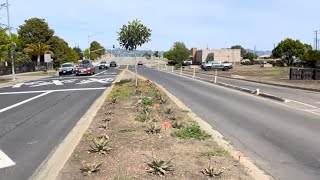 Gary’s Guerilla Gardening Update