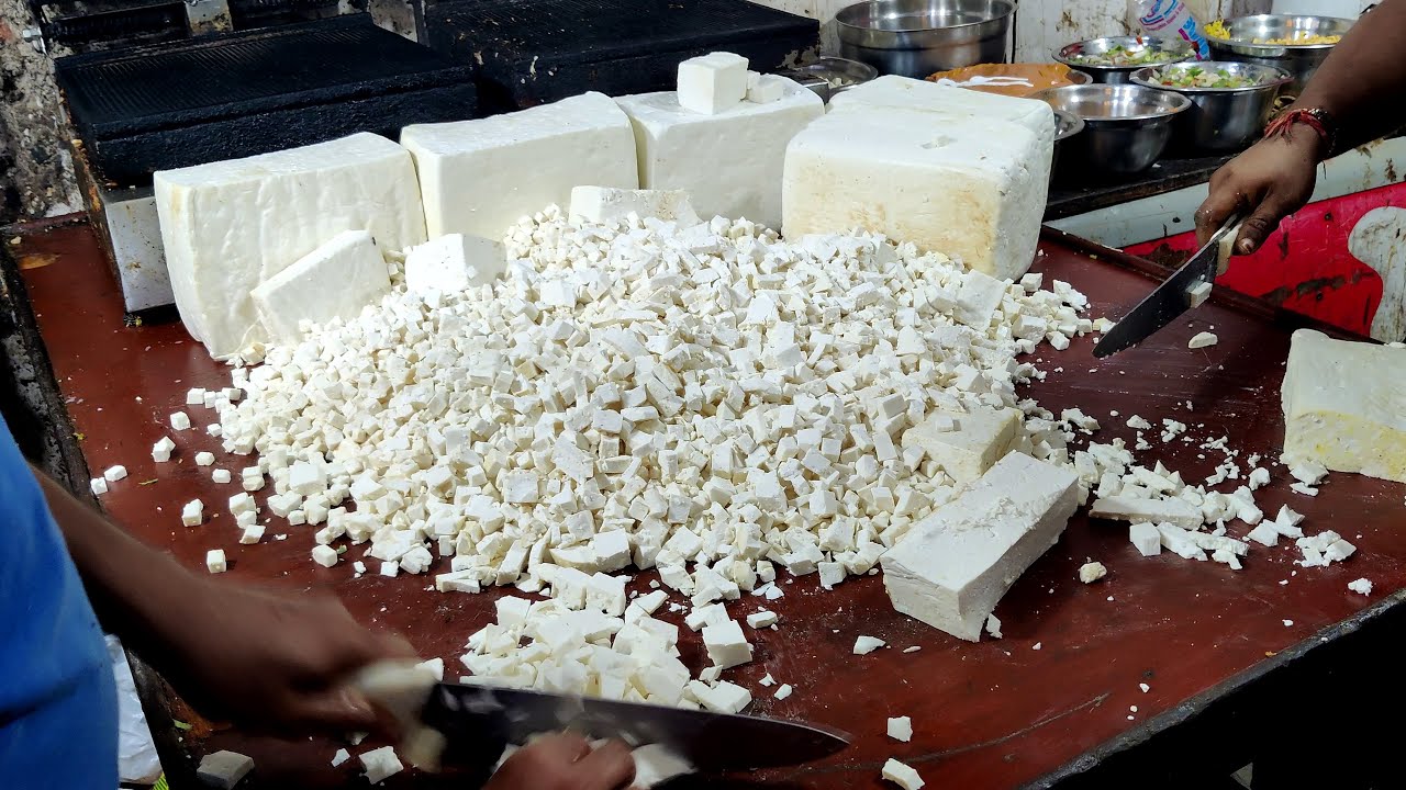 India's BIGGEST Sandwich Hub | Indore Food Vlog | Indian Street Food