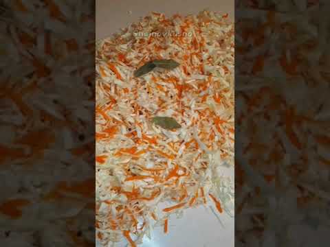 КВАШЕНАЯ КАПУСТА БЕЗ