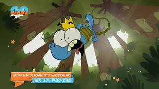 Mokanın Olağanüstü Maceraları Temmuzda Her Gün Minikagoda