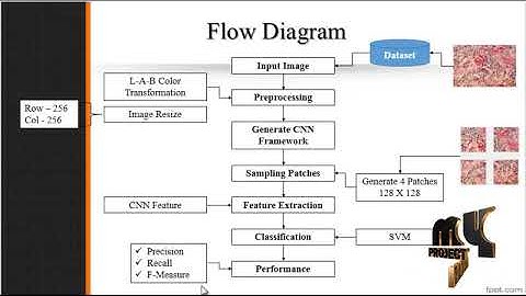 Classification of Breast Cancer Histology Images  Based on Deep Learning - MyProjectBazaar