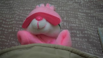 (blooper) Raspberry Pi Speech Synthesis - Talking Clock with My Bunny