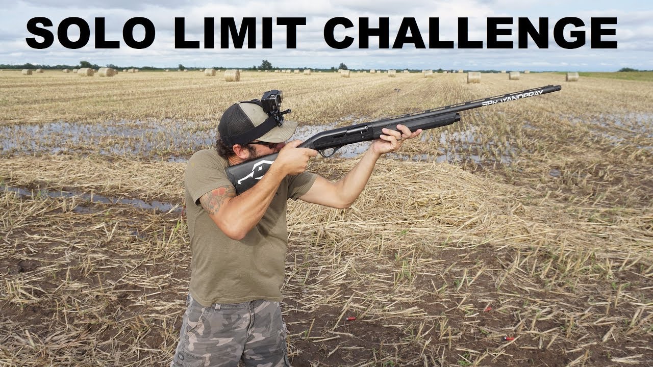SOLO Dove Hunting LIMIT OUT CHALLENGE!! YouTube