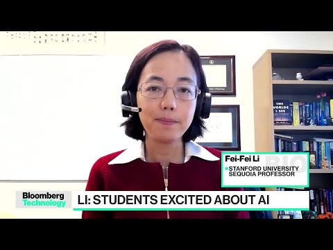 Dr. Fei-fei li, the 'godmother' of ai, talks regulation