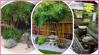 Amazing Bamboo Landscaping Ideas/Cam Garden