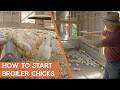 How To Start Broiler Chicks Free Masterclass Session Joel Salatin S Farm Like A Lunatic How To Start Broiler Chicks Free Masterclass Session Joel Salatin S Farm Like A Lunatic