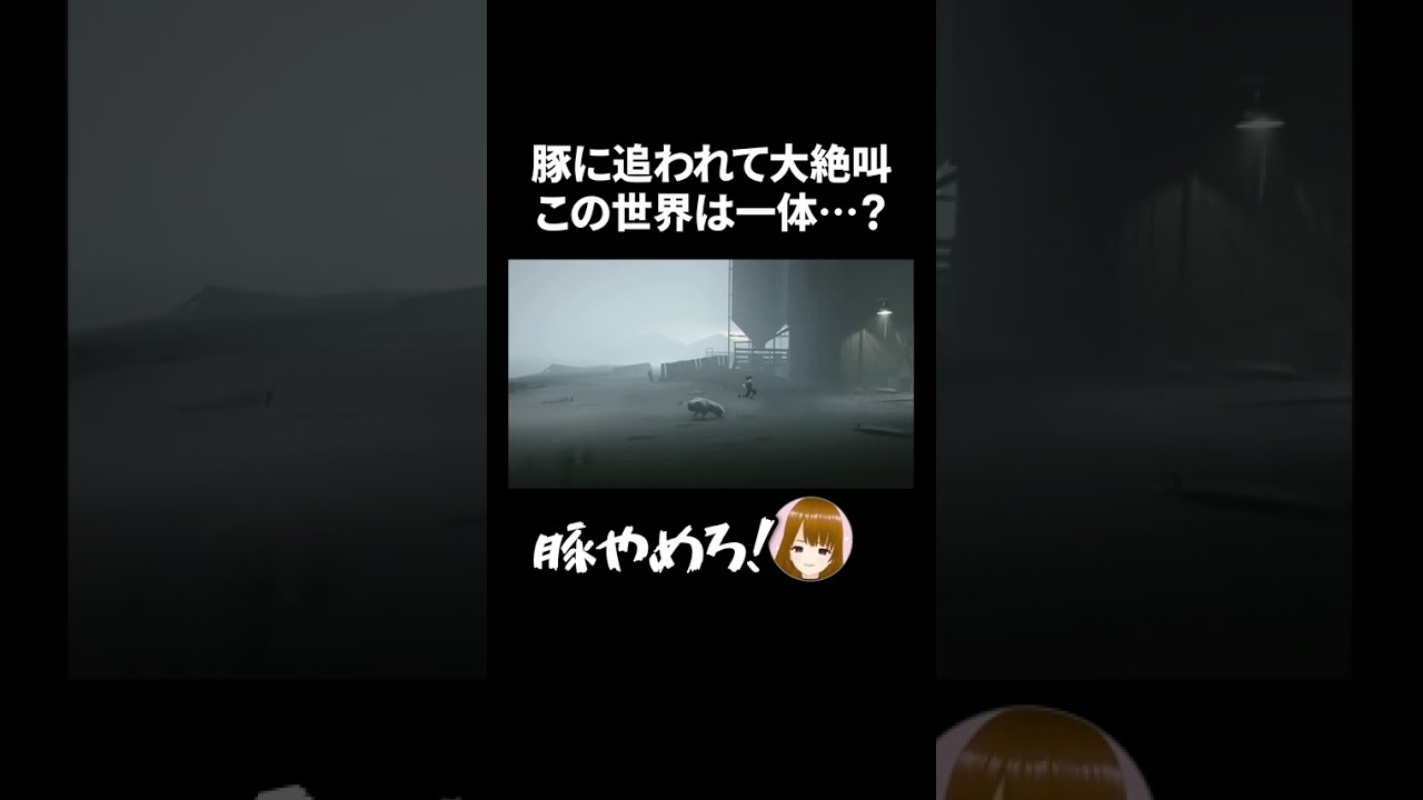 【INSIDE】豚に追われて大絶叫😱この世界は一体?
