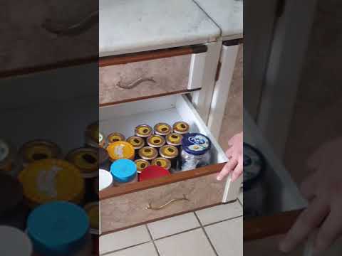 عسل الشفاء سنبله