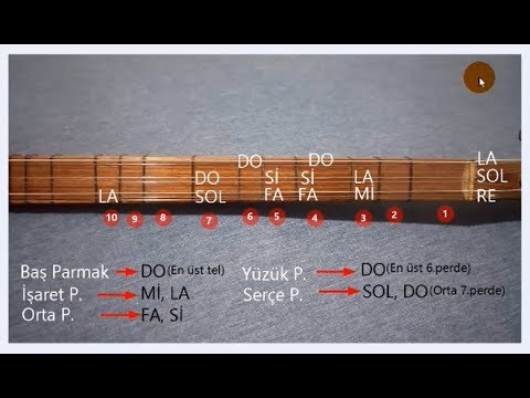 Bağlama Nota Yerleri (Kısa Sap)