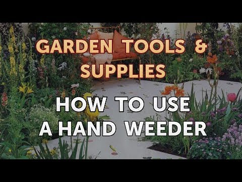 Video: Apa Itu Hand Weeder - Bagaimana Cara Kerja Hand Weeder Dan Kapan Digunakan