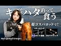 【過酷】超コスパなロッドでキジハタ釣って絶品料理でキメる★